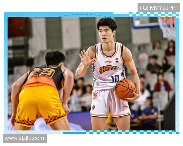 新秀与年轻球员的崛起与发展对球队未来的影响分析